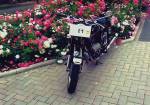 Weitere Bilder