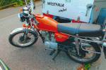 Weitere Bilder